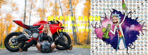 шишки Новодвинск