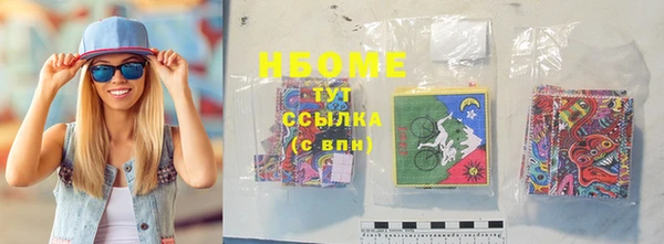 шишки Новодвинск