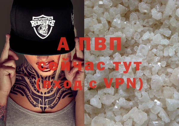 шишки Новодвинск
