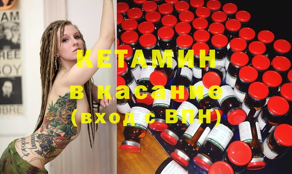 шишки Новодвинск