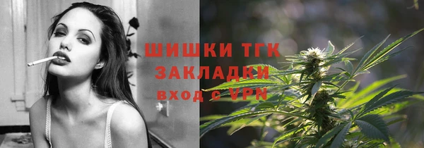 тгк Новозыбков