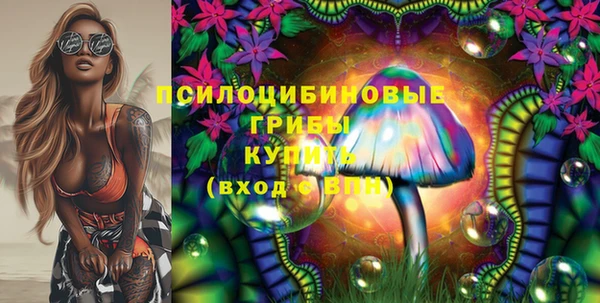 спиды Алексин