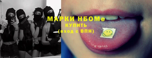 индика Новокубанск