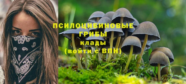 стафф Алексеевка