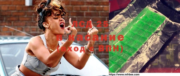 индика Новокубанск
