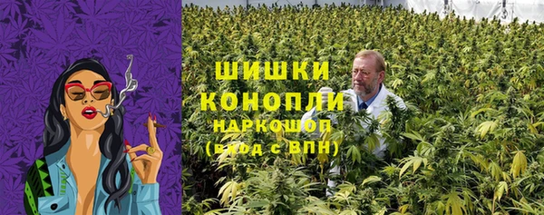 индика Новокубанск
