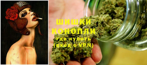 индика Новокубанск