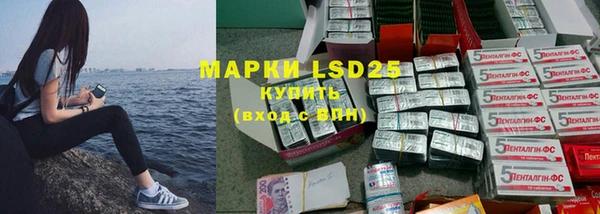 шишки Новодвинск