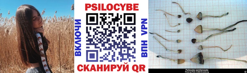 Псилоцибиновые грибы мухоморы  Аша 